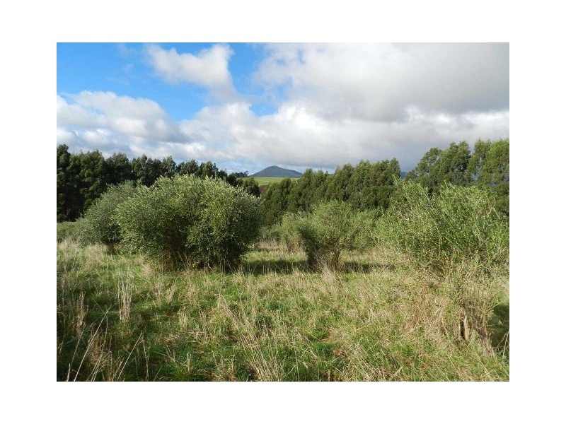 175 Zig Zag Road, Sulphur Creek TAS 7316