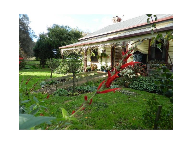 175 Zig Zag Road, Sulphur Creek TAS 7316