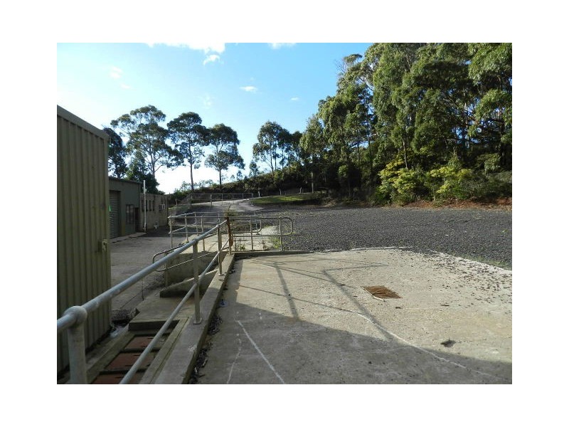 31 Scarfe Street, Cooee TAS 7320