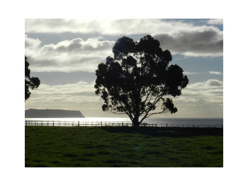 0 East Cam Road, East Cam TAS 7321