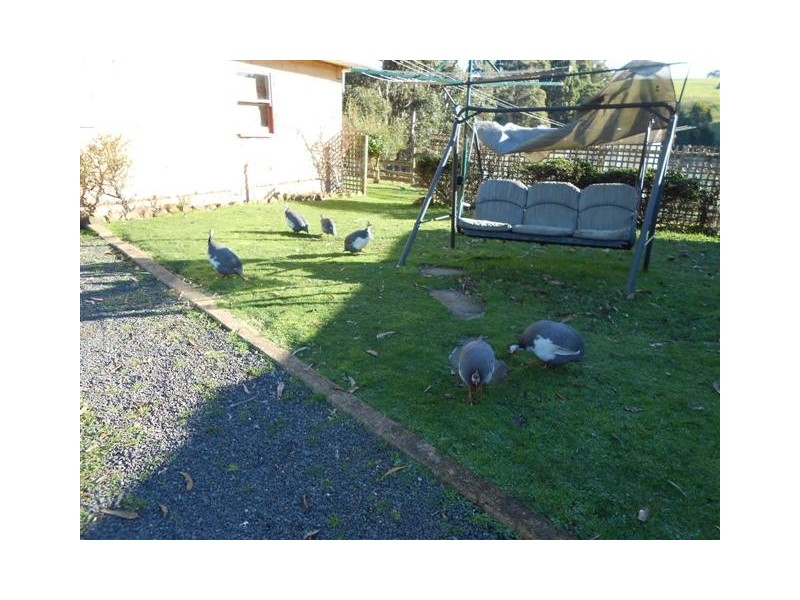 322 Back Cam Road, Somerset TAS 7322