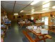 309 West Ridgley Road, West Ridgley TAS 7321