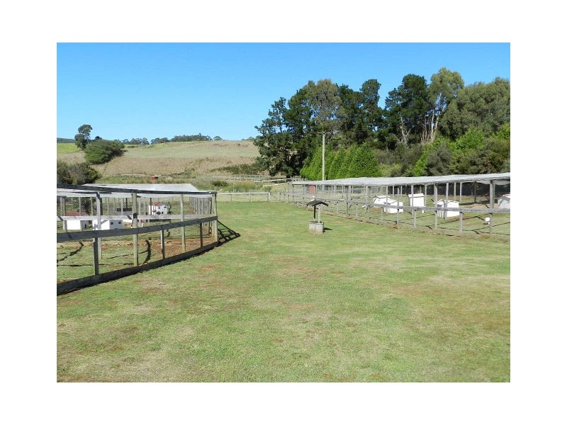 309 West Ridgley Road, West Ridgley TAS 7321