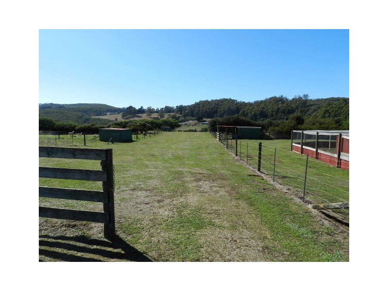 309 West Ridgley Road, West Ridgley TAS 7321