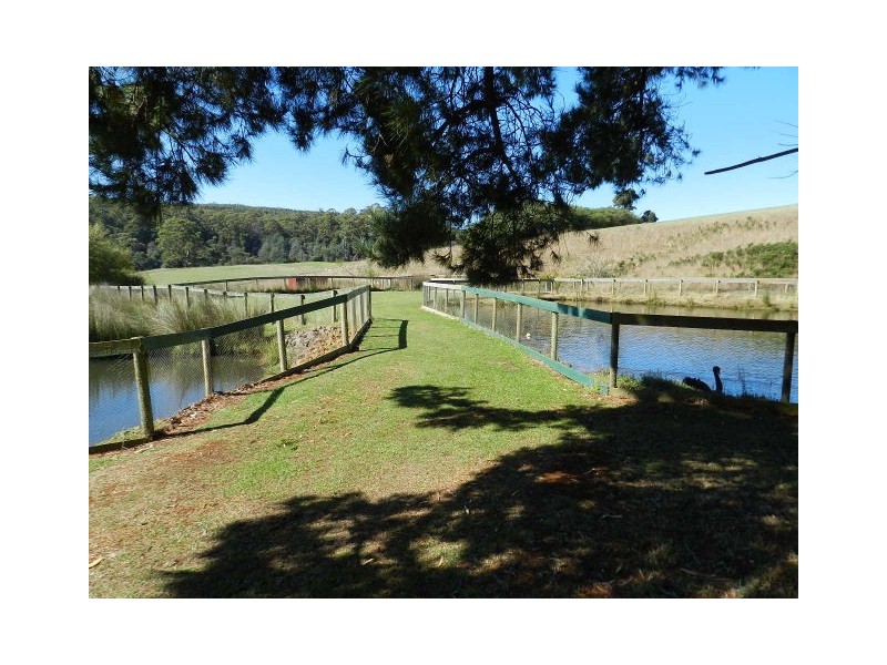 309 West Ridgley Road, West Ridgley TAS 7321