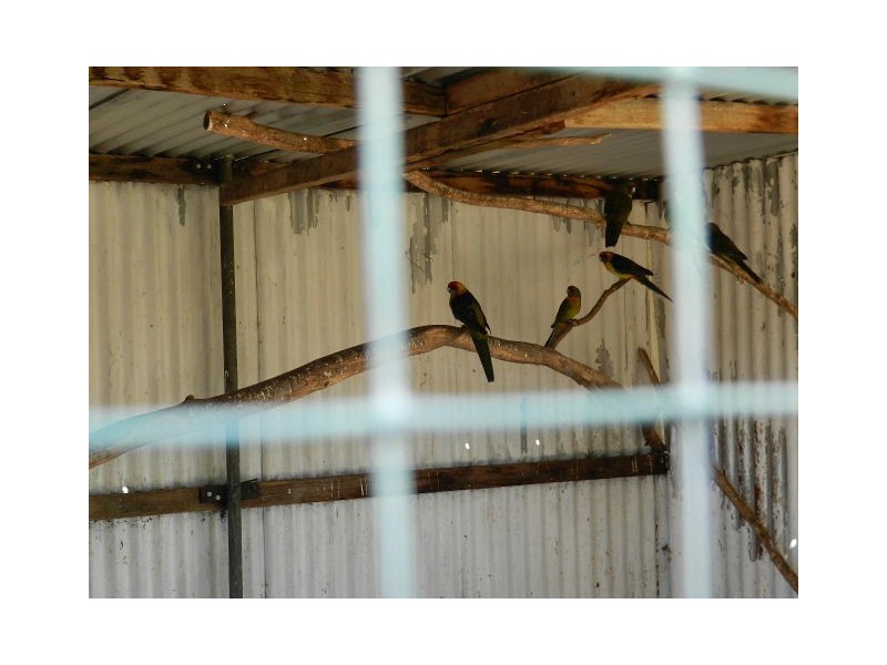 309 West Ridgley Road, West Ridgley TAS 7321