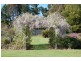 309 West Ridgley Road, West Ridgley TAS 7321