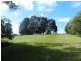 1050 Murchison Highway, Elliott TAS 7325