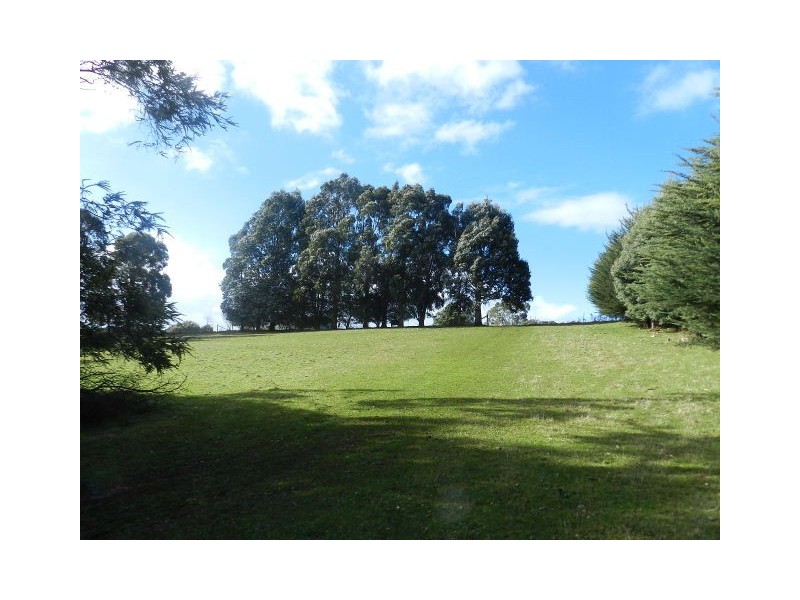 1050 Murchison Highway, Elliott TAS 7325