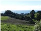 72 Woniora Road, Shorewell Park TAS 7320