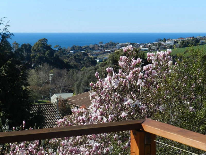 21 Taroona Avenue, Shorewell Park TAS 7320