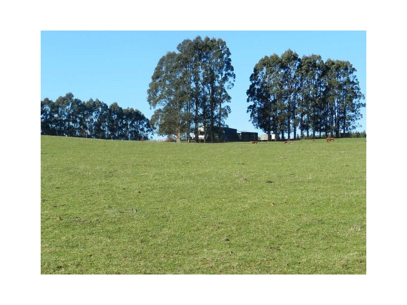 56 Kingsclere Road, East Ridgley TAS 7321