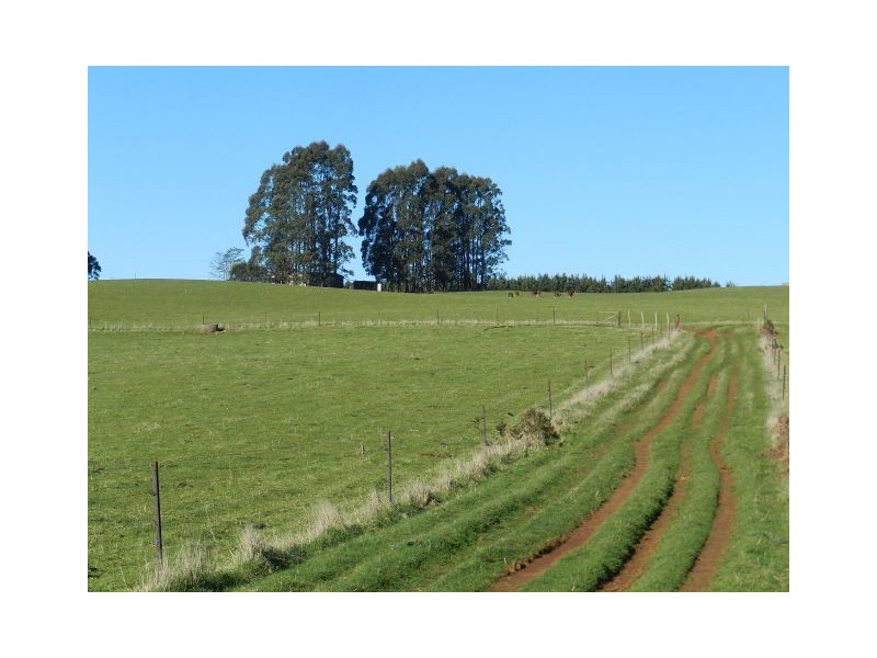 56 Kingsclere Road, East Ridgley TAS 7321