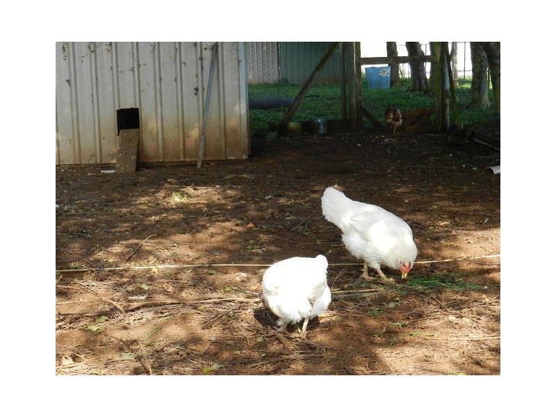 742 Mooreville Road, Mooreville TAS 7321