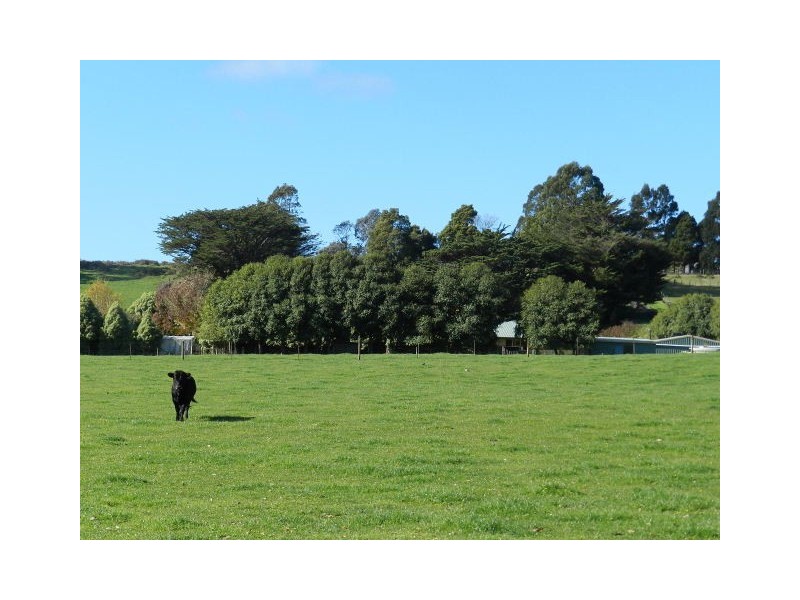 742 Mooreville Road, Mooreville TAS 7321