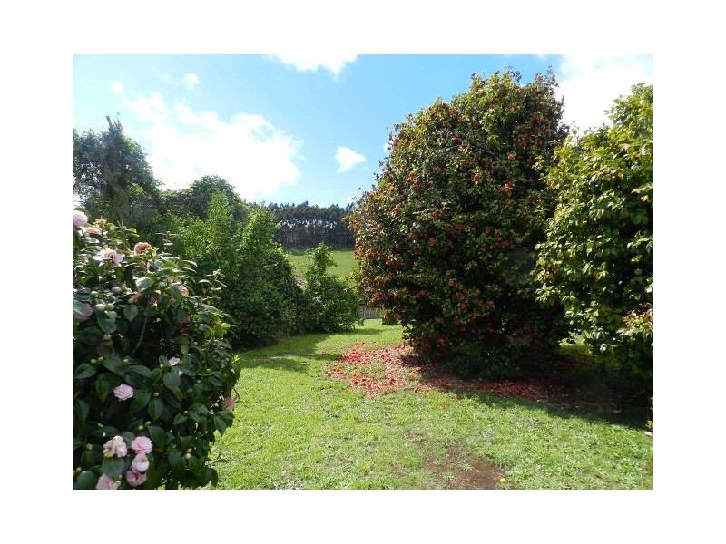 29 Collins Street, Brooklyn TAS 7320