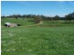 302 East Yolla Road, Yolla TAS 7325