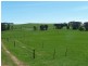 302 East Yolla Road, Yolla TAS 7325