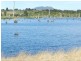 Lot 2 Waratah Road, Waratah TAS 7321