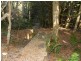 Lot 2 Waratah Road, Waratah TAS 7321