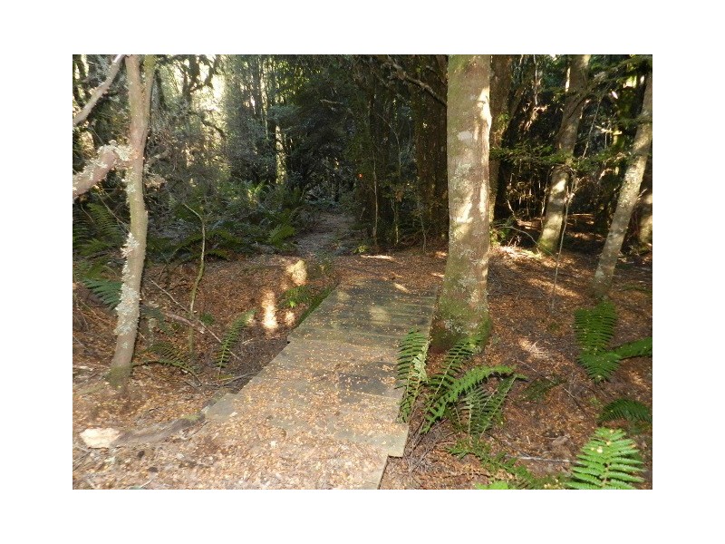 Lot 2 Waratah Road, Waratah TAS 7321