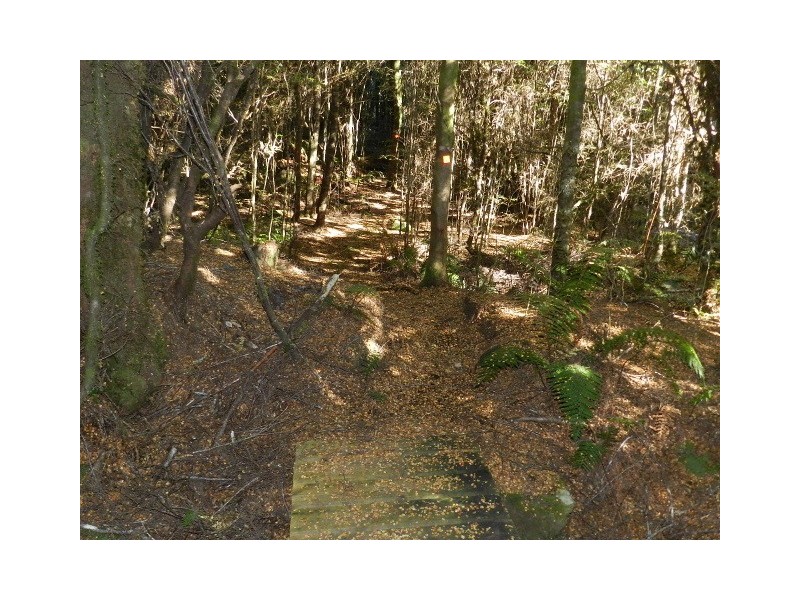 Lot 2 Waratah Road, Waratah TAS 7321
