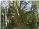 Lot 2 Waratah Road, Waratah TAS 7321