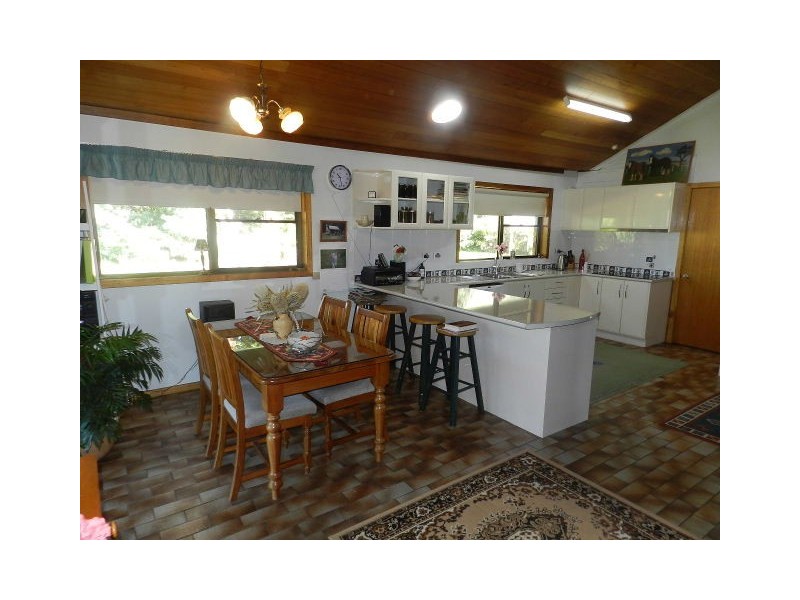 50 Darling Road, East Ridgley TAS 7321