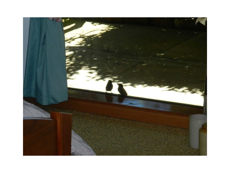 50 Darling Road, East Ridgley TAS 7321