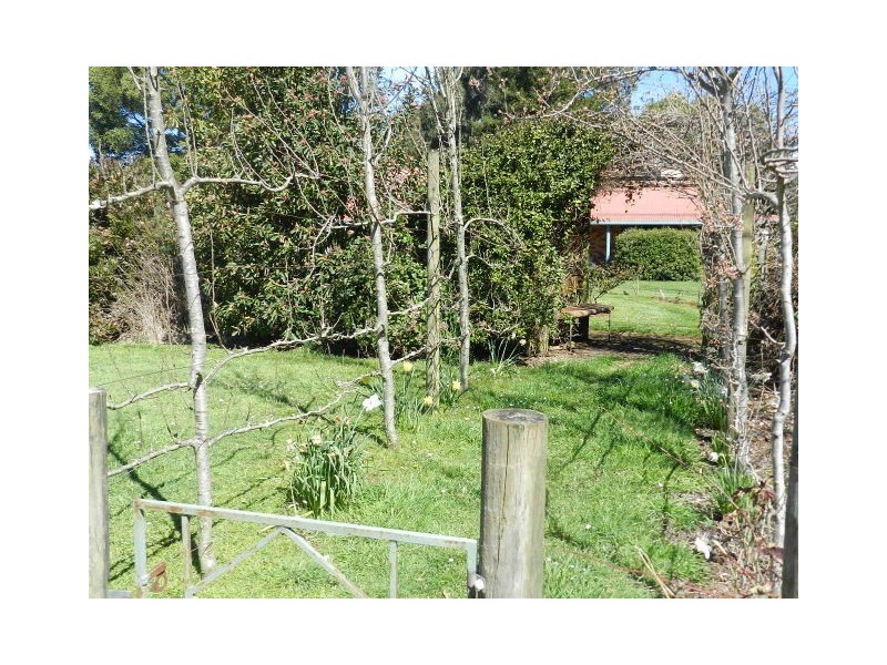 50 Darling Road, East Ridgley TAS 7321