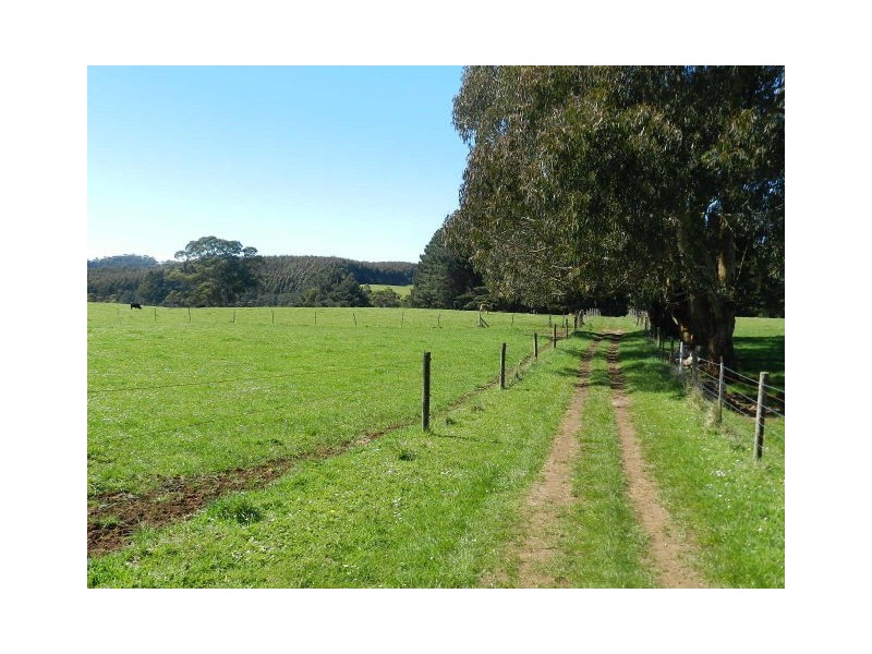 50 Darling Road, East Ridgley TAS 7321