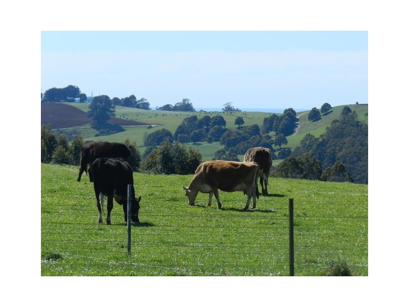 50 Darling Road, East Ridgley TAS 7321