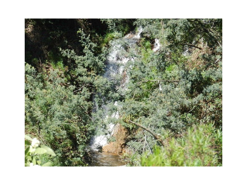 50 Darling Road, East Ridgley TAS 7321