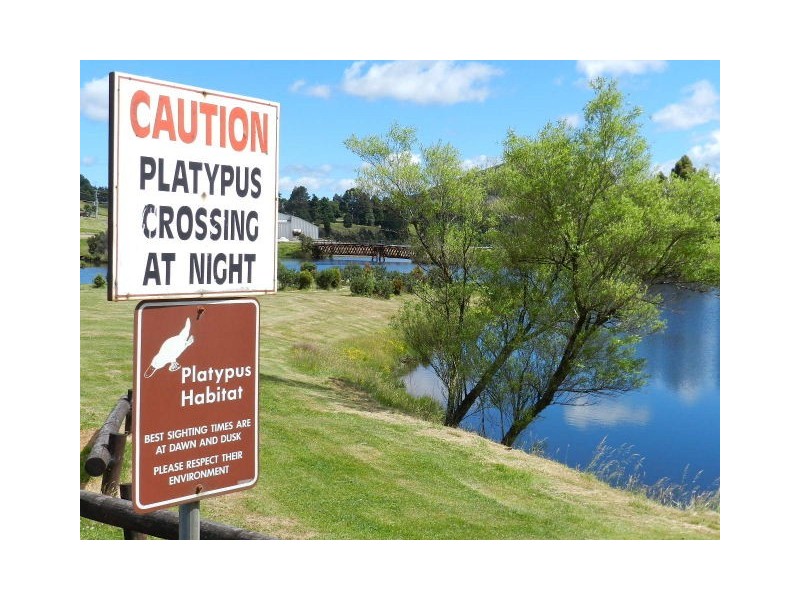 4 English Street, Waratah TAS 7321