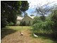 11 Beach Street, Strahan TAS 7468