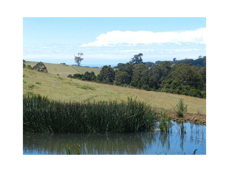 19 Tippetts Lane, Mount Hicks TAS 7325