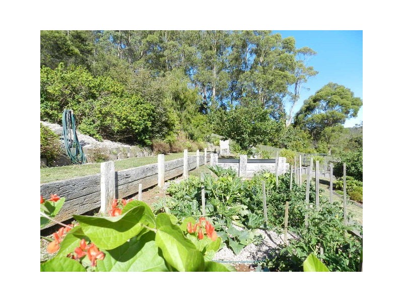 3 Henry Street, Somerset TAS 7322
