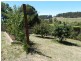 15 Franklin Street, Brooklyn TAS 7320