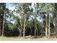 80 Tippetts Road, Mount Hicks TAS 7325