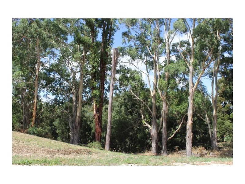 80 Tippetts Road, Mount Hicks TAS 7325
