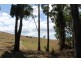 80 Tippetts Road, Mount Hicks TAS 7325