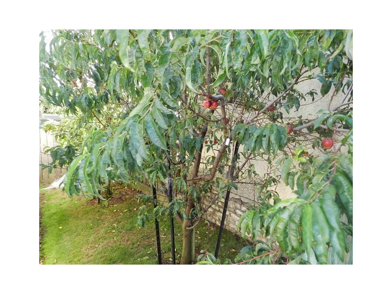 54 Colegrave Road, Upper Burnie TAS 7320