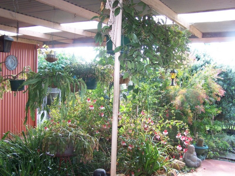 829 Montumana Road, Montumana TAS 7321
