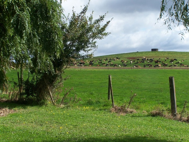 829 Montumana Road, Montumana TAS 7321