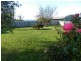 35 Stirling Street, Hillcrest TAS 7320