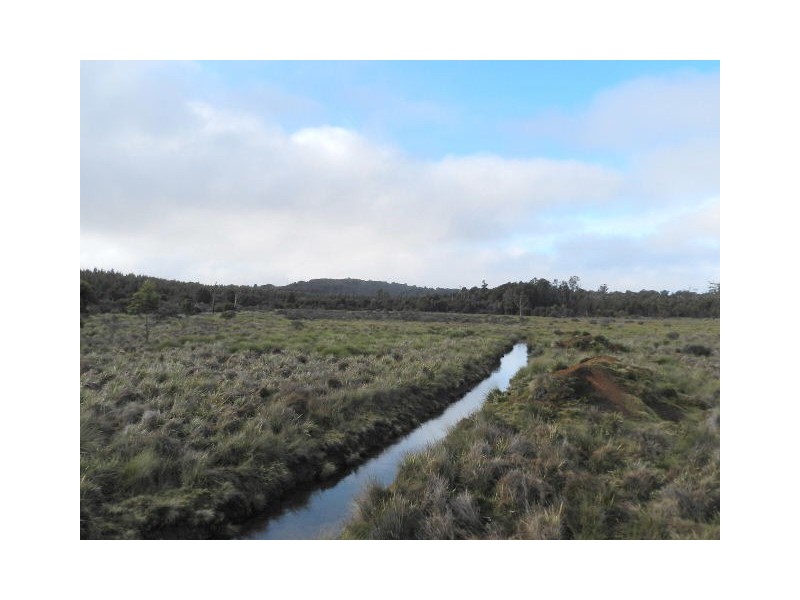 Lot 1 Waratah Road, Waratah TAS 7321