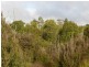 Lot 1 Waratah Road, Waratah TAS 7321