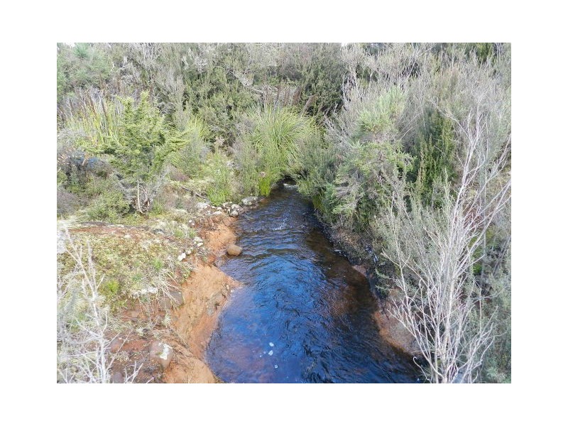 Lot 1 Waratah Road, Waratah TAS 7321