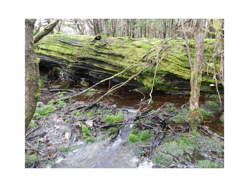 Lot 1 Waratah Road, Waratah TAS 7321