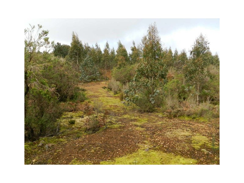 Lot 1 Waratah Road, Waratah TAS 7321